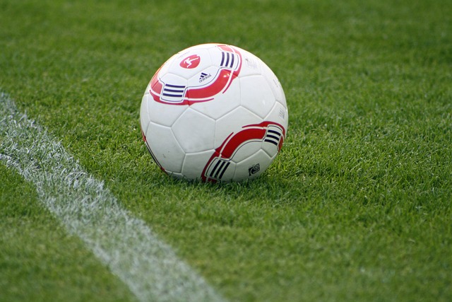 特的配合令 特的配合令