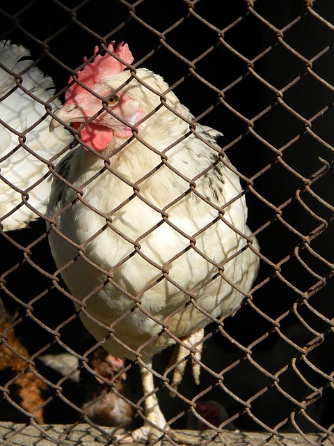 不小的压力 不小的压力