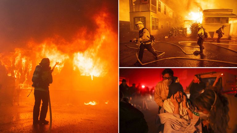 球迷的热烈 球迷的热烈