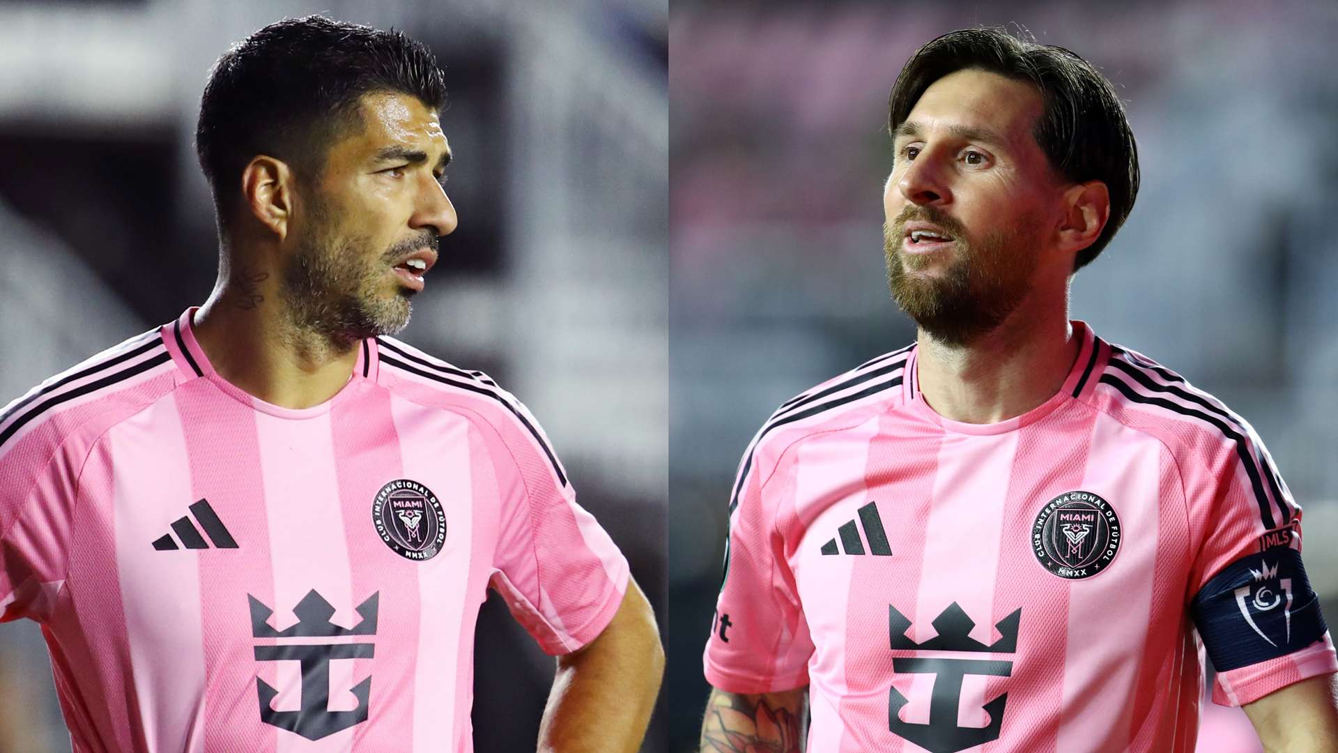 不仅体现了 不仅体现了