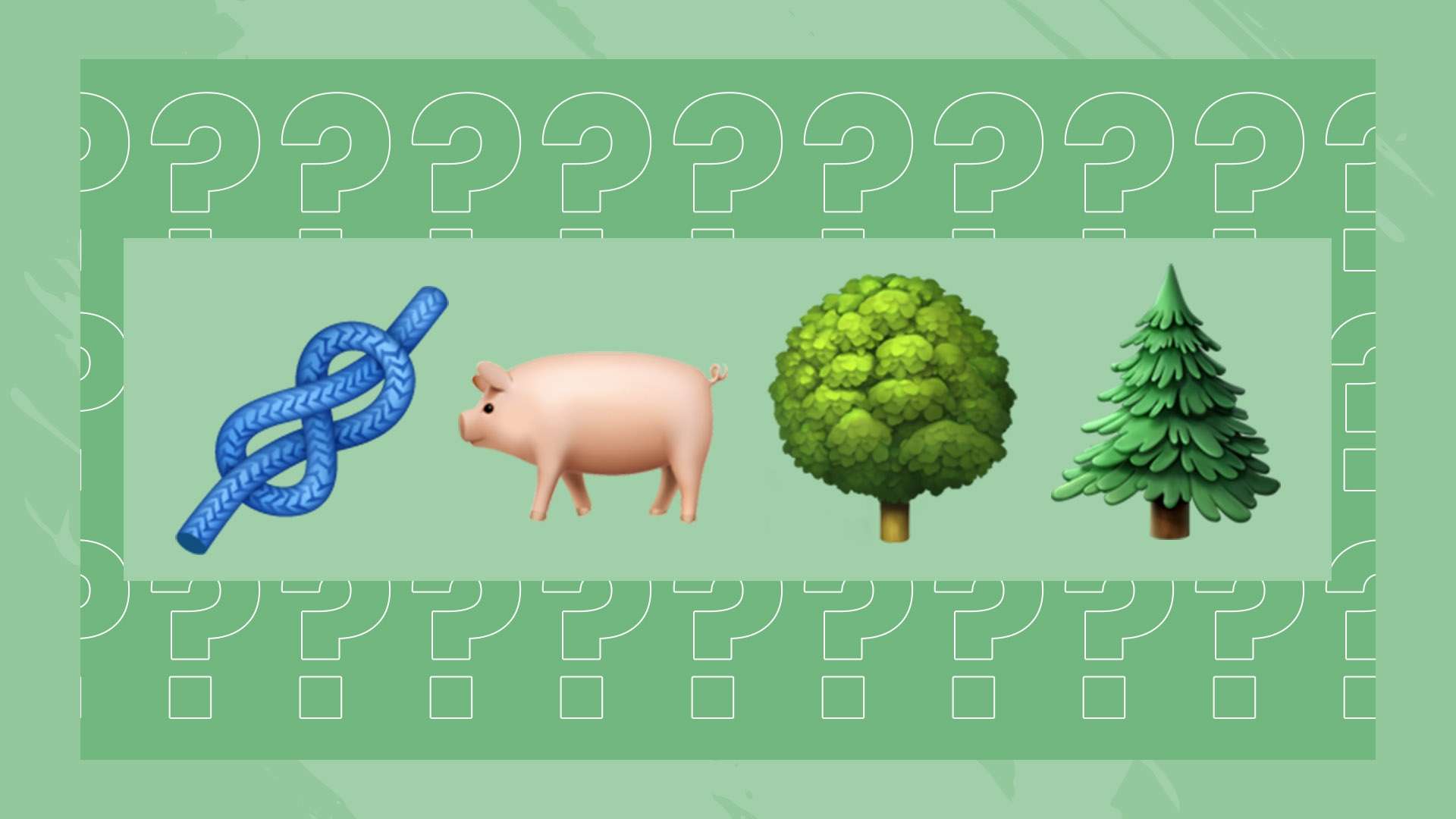 输球是团队 输球是团队