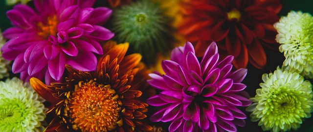 节奏掌控者